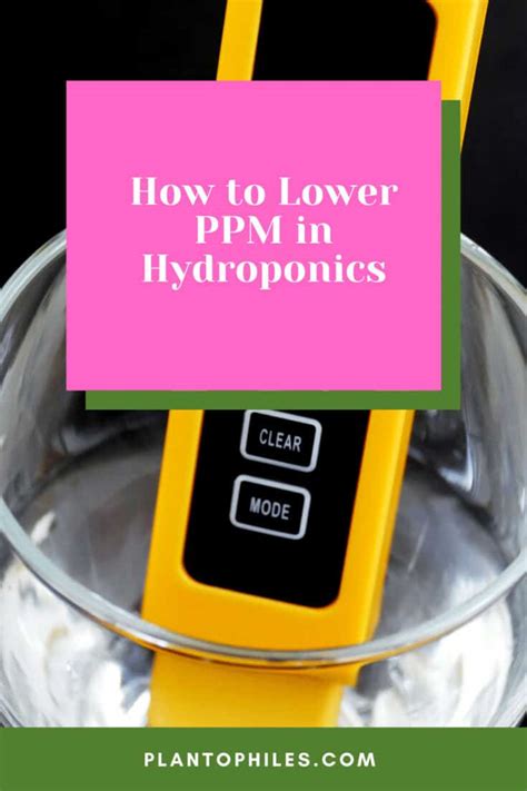 low ppm for hydroponics